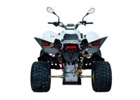 купить Квадроцикл SYM QuadRaider 450 в Москве - фото 