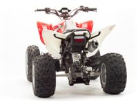 купить Квадроцикл MOTOLAND 125S (2020 Г.) в Москве - фото 