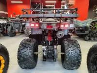 купить Квадроцикл MOTAX Grizlik T 200 в Москве - фото 