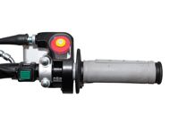 купить Мотоцикл REGULMOTO Seven Medalist 17/14 PITBIKE в Москве - фото 