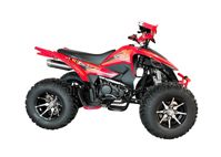 купить Квадроцикл YACOTA Typhoon 250LD в Москве - фото 