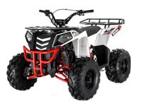 купить Квадроцикл ATV Commander Spark в Москве - фото 