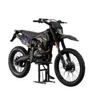 купить Мотоцикл DAREX Matay 250 ENDURO в Москве - фото 