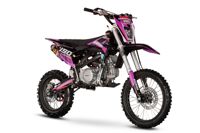 купить Мотоцикл питбайк SHARMAX MOTORS PowerMax 190 MIAMI в Москве - фото 