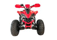 купить Квадроцикл YACOTA Typhoon 250LD в Москве - фото 