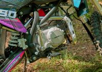 купить Мотоцикл питбайк SHARMAX MOTORS PowerMax 190 MIAMI в Москве - фото 