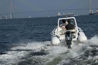 купить 4х-тактный лодочный мотор MIKATSU MF60FEL-T-EFI в Москве - фото 