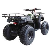 купить Квадроцикл WELS ATV Thunder 150 в Москве - фото 
