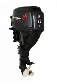 купить 4х-тактный лодочный мотор GOLFSTREAM F15FWS в Москве - фото 