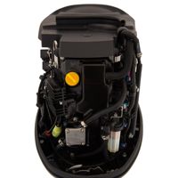 купить 4х-тактный лодочный мотор SEANOVO SNEF50FUEL-T в Москве - фото 