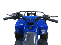 купить Квадроцикл ATV Atomik Spark в Москве - фото 