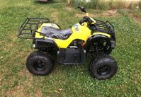 купить Квадроцикл ABM Ninja 110 в Москве - фото 