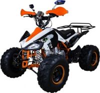 купить Квадроцикл AVANTIS Mirage 8M+ 125 2017 в Москве - фото 