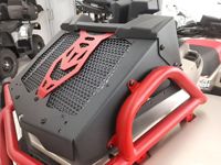 купить Квадроцикл АОДЕС PATHCROSS 1000S MUD PRO EPS Б/У в Москве - фото 