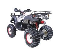 купить Квадроцикл WELS Thunder 200 Lux в Москве - фото 