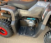 купить Квадроцикл MOWGLI Sharp в Москве - фото 
