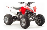 купить Квадроцикл MOTOLAND 125S (2020 Г.) в Москве - фото 