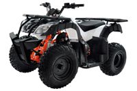 купить Квадроцикл KAYO AU150 CVT в Москве - фото 