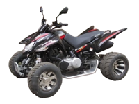 купить Квадроцикл ACCESS SP 300 SM в Москве - фото 