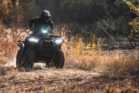 купить Квадроцикл KAWASAKI Brute Force 750 EPS (2024) (ПСМ) в Москве - фото 