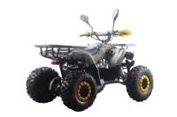 купить Квадроцикл MOTAX ATV Grizlik Premium 125cc в Москве - фото 