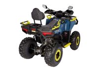 купить Квадроцикл AVANTIS Ray 200 Lux в Москве - фото 