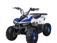 купить Квадроцикл YACOTA Raposa Pro Sport в Москве - фото 