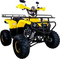 купить Квадроцикл AVANTIS Patriot M в Москве - фото 
