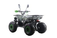 купить Квадроцикл MOTAX ATV Grizlik Premium 125cc в Москве - фото 
