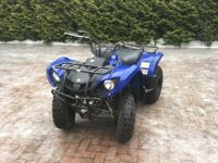 купить Квадроцикл GRIZZLY 125 в Москве - фото 