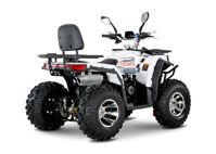 купить Квадроцикл YACOTA Viking 200 PRO в Москве - фото 