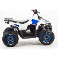 купить Квадроцикл MOTOLAND 110 Eagle (2021 Г.) в Москве - фото 