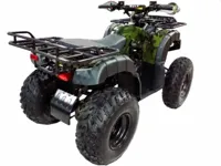 купить Квадроцикл WELS Thunder 200 в Москве - фото 