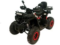 купить Квадроцикл BISON Warrior 200 в Москве - фото 