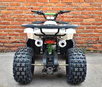 купить Квадроцикл MOWGLI Hardy 8+ в Москве - фото 