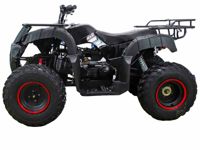 купить Квадроцикл ATV Classic 200 в Москве - фото 