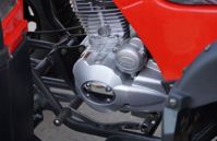 купить Квадроцикл STALKER 250 Lux в Москве - фото 