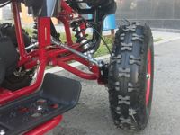 купить Квадроцикл MOTOLAND 50 Mini в Москве - фото 