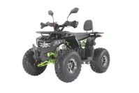 купить Квадроцикл YACOTA Sela 200 Max в Москве - фото 
