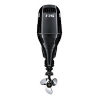 купить 4х-тактный лодочный мотор SUZUKI DF 175 APL в Москве - фото 