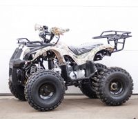 купить Квадроцикл STALKER 150 в Москве - фото 