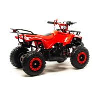 купить Квадроцикл MOTOLAND 50 Scorpion (2021 Г.) в Москве - фото 