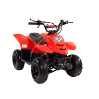 купить Квадроцикл IRBIS Dingo 50s в Москве - фото 