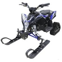 купить Снегоход MOTAX Gekkon в Москве - фото 