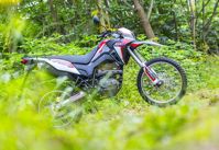 купить Мотоцикл LIFAN LF250GY-3 ТУРЭНДУРО в Москве - фото 