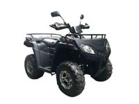 купить Квадроцикл RATO RT250ST Premium в Москве - фото 