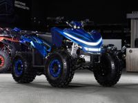 купить Квадроцикл SHARMAX Cross 180 RX в Москве - фото 