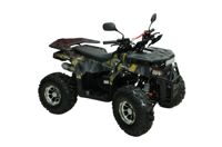 купить Квадроцикл Motax Grizlik Premium 150 в Москве - фото 