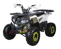 купить Квадроцикл YACOTA Fusion 125 PRO в Москве - фото 