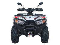 купить Квадроцикл ACCESS AMX600 Long Base (ПСМ) в Москве - фото 
